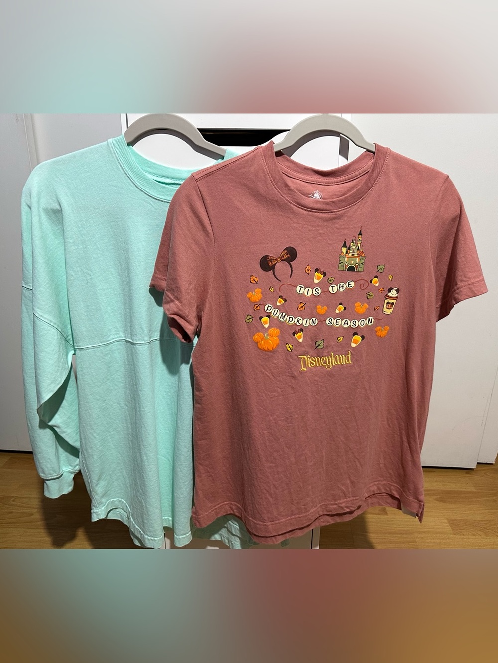 Disneyland Bundle (Spirit Jersey and Shirt)